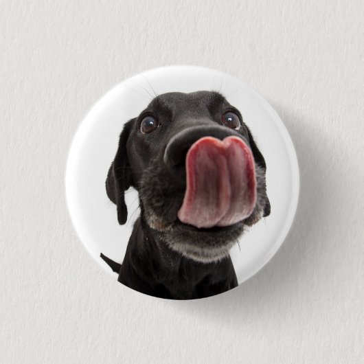 Badge Rond 2,50 Cm Black Labrador Licking (Devant)