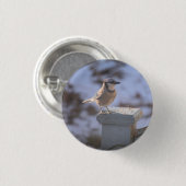 Badge Rond 2,50 Cm Blue Jay (Devant & derrière)
