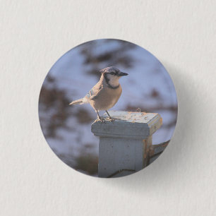 Badge Rond 2,50 Cm Blue Jay