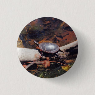 Badge Rond 2,50 Cm Bonne tortue