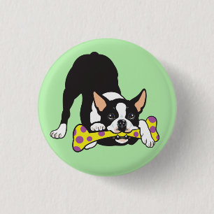 Badge Rond 2,50 Cm Boston Terrier. Heureux de devenir chanceux