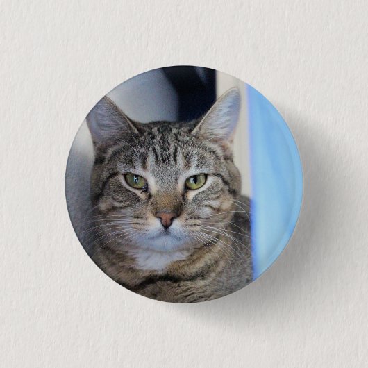 Badge Rond 2,50 Cm Boule de ping-pong (Devant)
