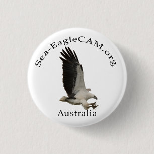 Badge Rond 2,50 Cm Bouton adulte de Mer-Eagle de vol