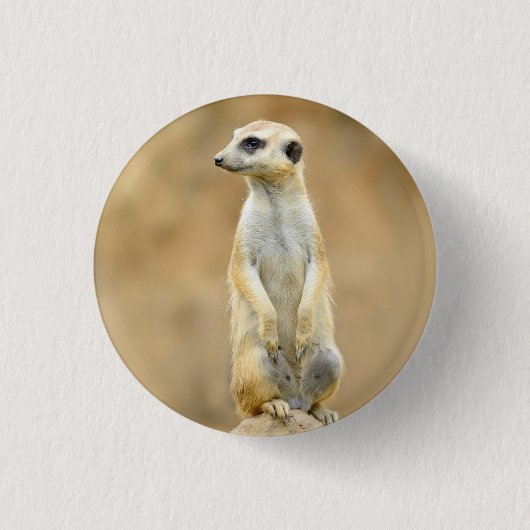 Badge Rond 2,50 Cm Bouton avec Meerkat sur garde (Devant)
