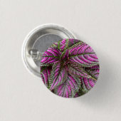 Badge Rond 2,50 Cm Bouton - bouclier persan (Devant & derrière)