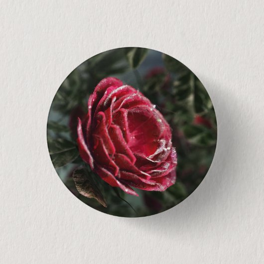 Badge Rond 2,50 Cm Bouton cadeau de départ d'hiver (Devant)