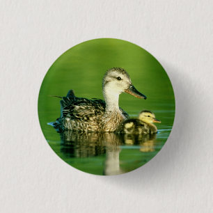 Badge Rond 2,50 Cm Bouton Cute Ducks