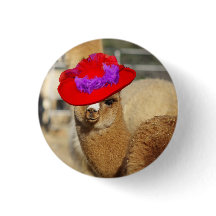 Bouton d'alpaga
