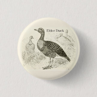 Badge Rond 2,50 Cm Bouton de Canard Eider