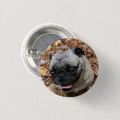 Badge Rond 2,50 Cm Bouton de carlin (Devant & derrière)