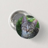 Badge Rond 2,50 Cm Bouton de chat Tabby gris (Devant & derrière)