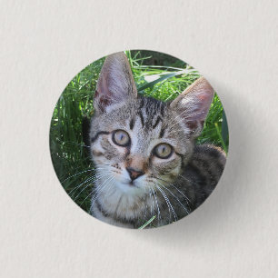 Badge Rond 2,50 Cm Bouton de chat tigré gris