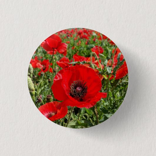 Badge Rond 2,50 Cm Bouton de coquelicot Flandre (Devant)
