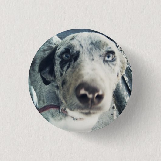 Badge Rond 2,50 Cm Bouton de Jack (Devant)