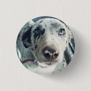 Badge Rond 2,50 Cm Bouton de Jack