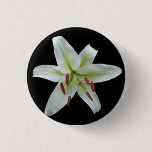Badge Rond 2,50 Cm Bouton de lis blanc