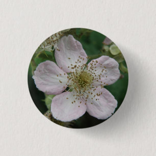 Badge Rond 2,50 Cm Bouton de macro Fleur Blackberry