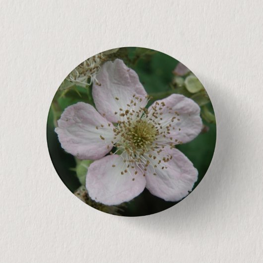 Badge Rond 2,50 Cm Bouton de macro Fleur Blackberry (Devant)