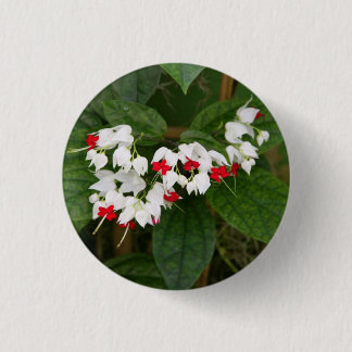 Badge Rond 2,50 Cm Bouton de vigne de défenseur de la veuve et de