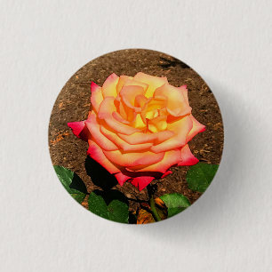 Badge Rond 2,50 Cm Bouton Dream Come True Rose #3