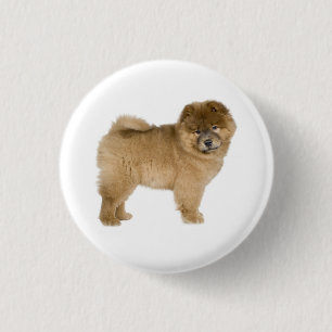 Badge Rond 2,50 Cm Bouton épinglé Chien Chien Chow Chow
