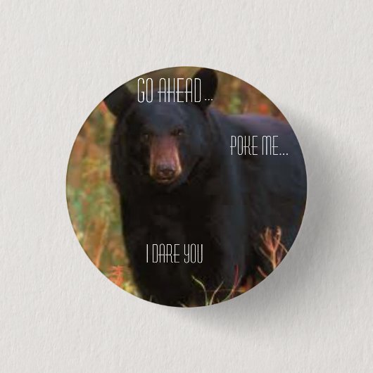 Badge Rond 2,50 Cm Bouton fâché d'ours (Devant)