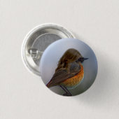 Badge Rond 2,50 Cm bouton "fait varier le pas" (Devant & derrière)