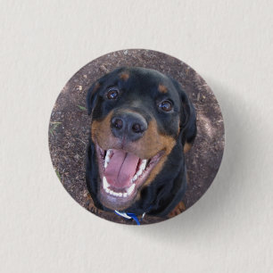 Badge Rond 2,50 Cm Bouton Heidi Happy Rottweiler