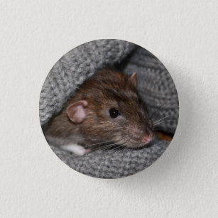Badge Rond 2,50 Cm Bouton/insigne de rat d'abruti d'animal familier