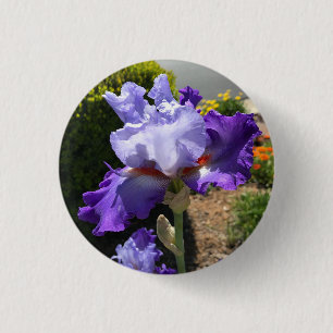 Badge Rond 2,50 Cm Bouton Iris à fond violet