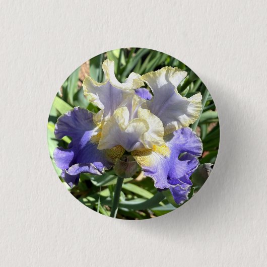 Badge Rond 2,50 Cm Bouton Iris doré (Devant)