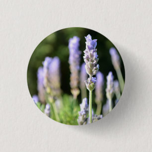 Badge Rond 2,50 Cm Bouton Lavande / Insigne