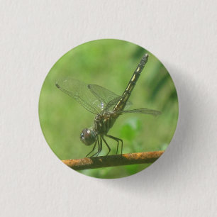 Badge Rond 2,50 Cm Bouton libellule
