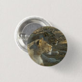 Badge Rond 2,50 Cm Bouton Lions (Devant & derrière)
