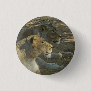 Badge Rond 2,50 Cm Bouton Lions