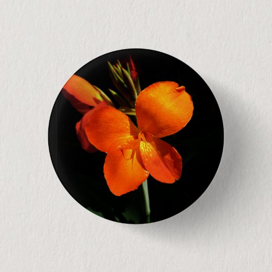 Badge Rond 2,50 Cm Bouton Orchidée éblouissant (Devant)