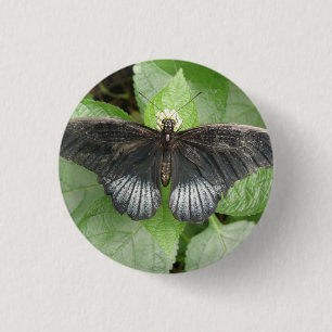 Badge Rond 2,50 Cm Bouton Papillon Tropical et Fleurs