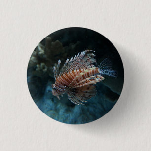 Badge Rond 2,50 Cm Bouton Pinback de poisson rouge
