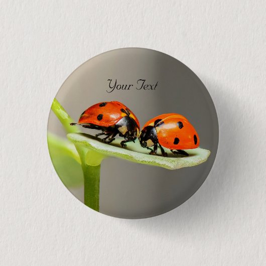 Badge Rond 2,50 Cm Bouton Pinback des coléoptères Ladybugs (Devant)