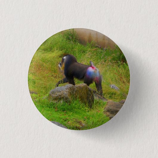 Badge Rond 2,50 Cm Bouton Pinback Mandrill #4 (Devant)