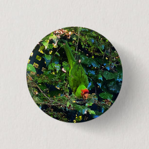 Badge Rond 2,50 Cm Bouton Pinback pour le couvercle en tête de cerise