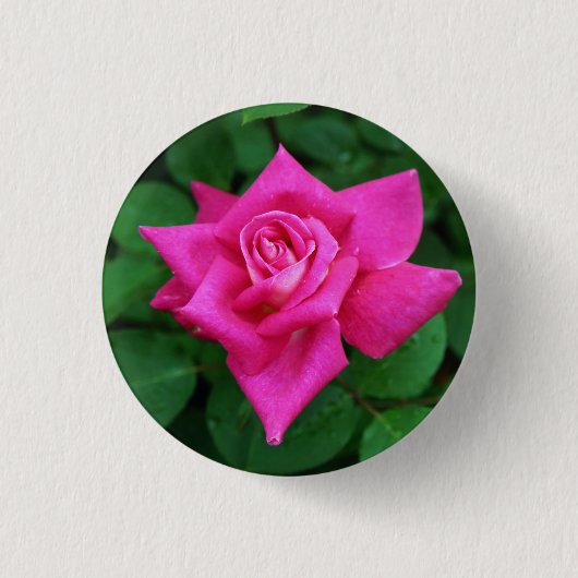 Badge Rond 2,50 Cm Bouton rond rose simple (Devant)