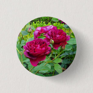 Badge Rond 2,50 Cm Bouton Rose #2 de Darcey Bussell