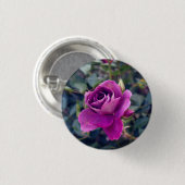 Badge Rond 2,50 Cm Bouton Rose Iceberg Bourgogne #2 (Devant & derrière)