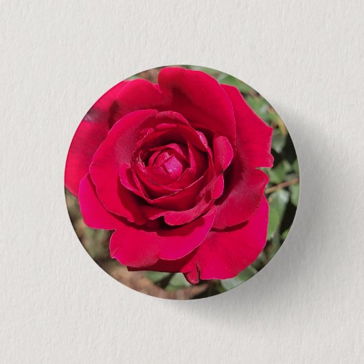 Badge Rond 2,50 Cm Bouton Rose rouge (Devant)