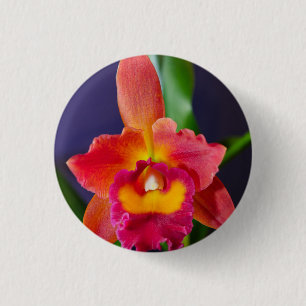 Badge Rond 2,50 Cm Bouton rouge et orange orchidée