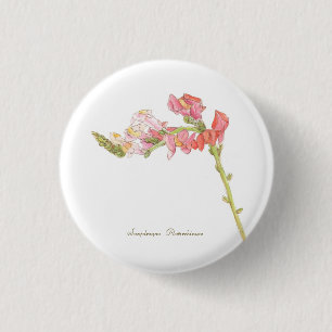 Badge Rond 2,50 Cm Bouton Snapdragon