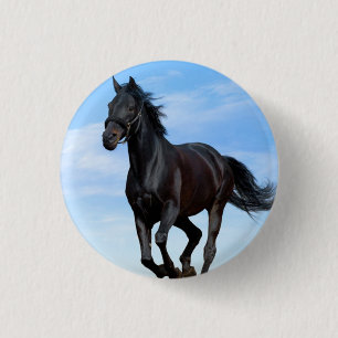 Badge Rond 2,50 Cm Boutons arrondis de cheval en pointe