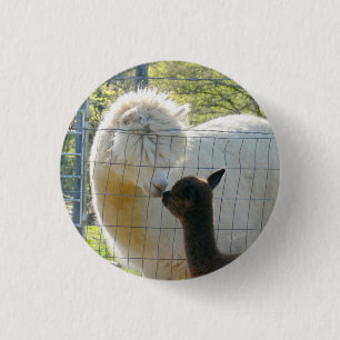 Badge Rond 2,50 Cm Boutons de baiser d'alpaga de bébé