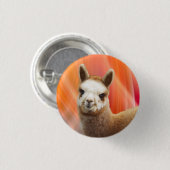 Badge Rond 2,50 Cm Boutons mignons d'alpaga (Devant & derrière)